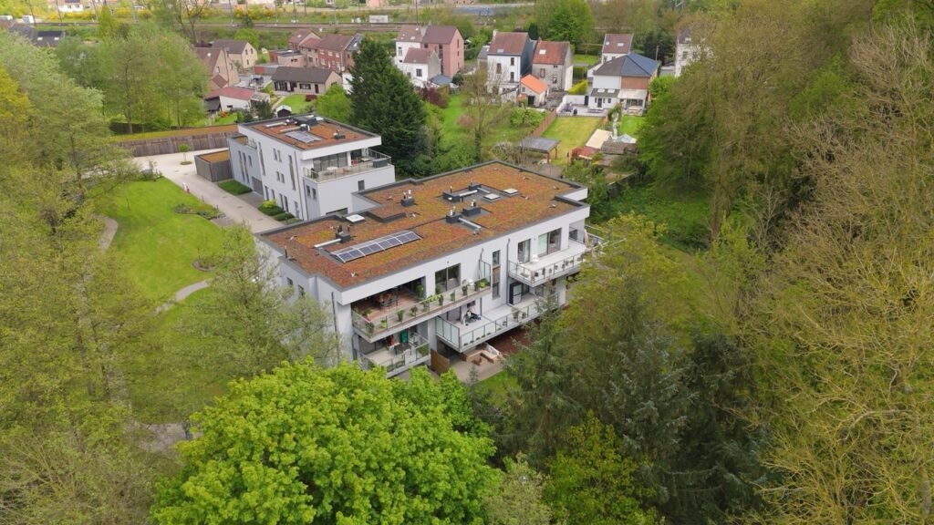 Ensemble immobilier de 12 Appartement, 2 habitations, Espace multifonction et Garages